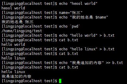 echo 命令