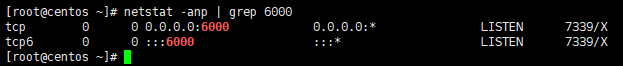 netstat 命令示例