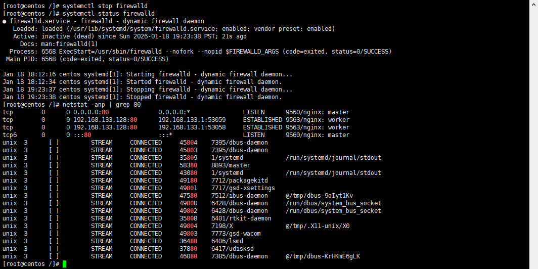 nginx